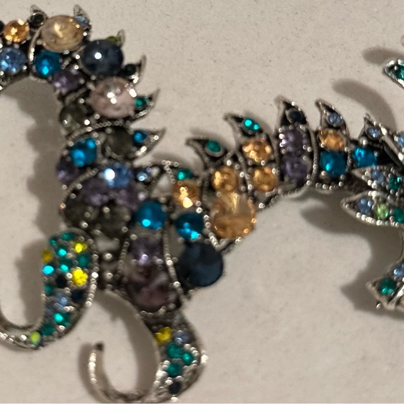 Dragon roach - Picture 1 of 6